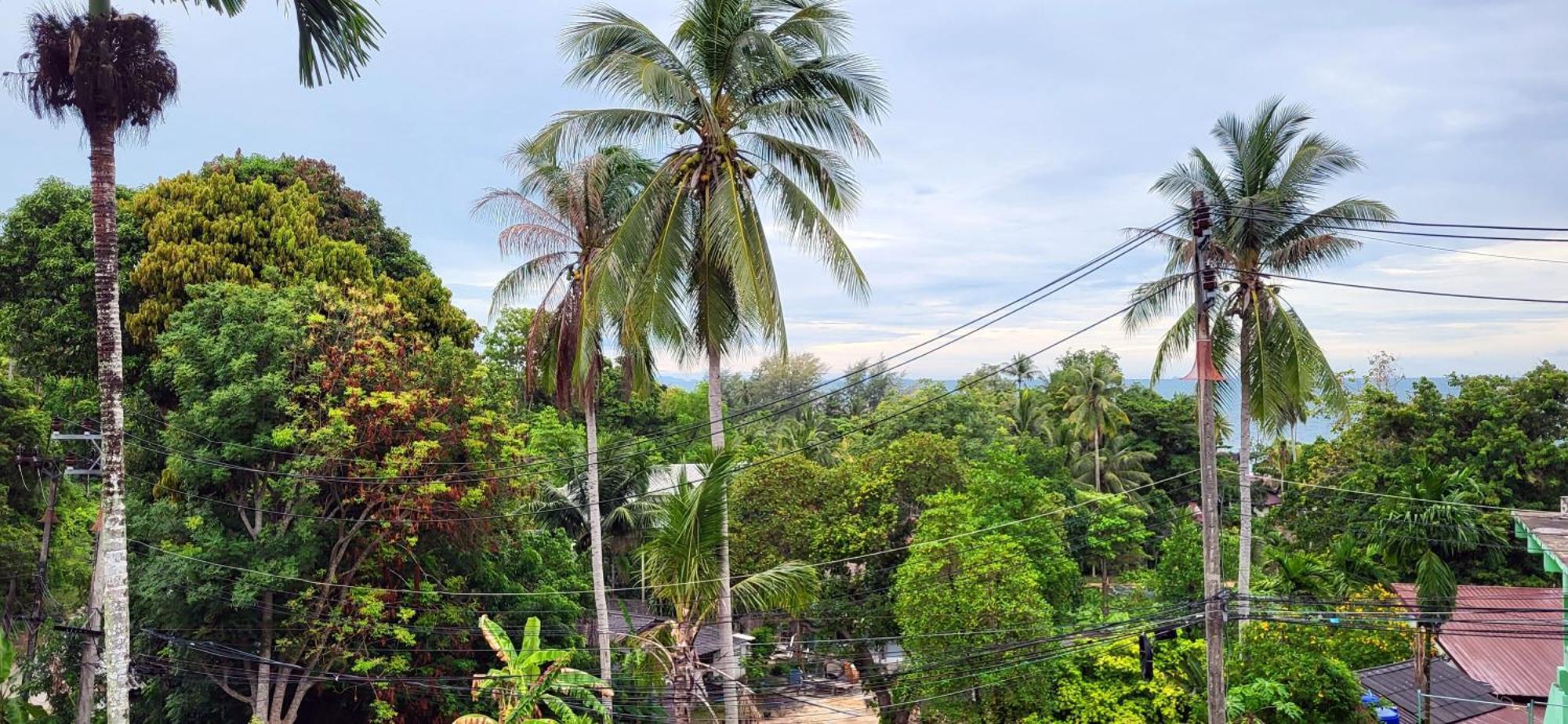 Moonway Bungalows Koh Phangan Exteriör bild